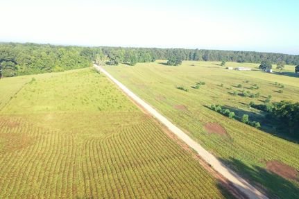 Land for sale in Tangipahoa Parish, Louisiana