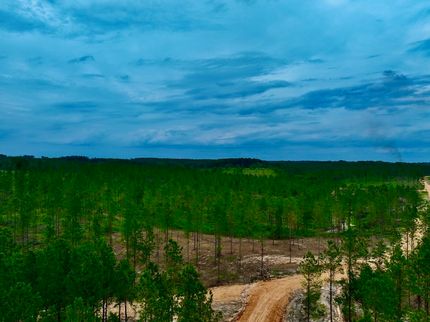 Farm and Ranch for sale in Walthall County, Mississippi