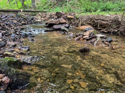 Timberland Property for sale in Grant County, West Virginia