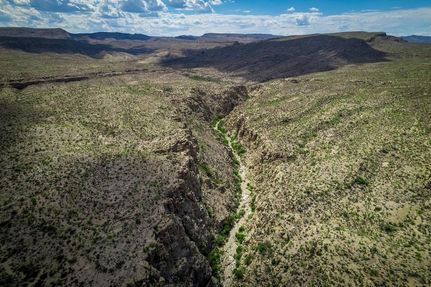 Undeveloped Land for sale in Polk County, Texas