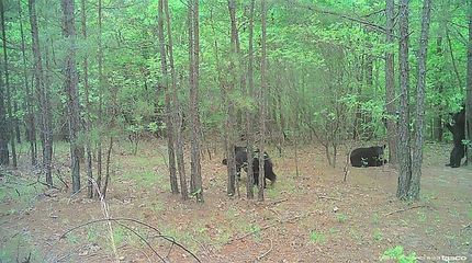 Recreational Property for sale in Pushmataha County, Oklahoma