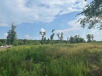 Farm and Ranch for sale in King and Queen County, Virginia