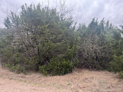 Farm and Ranch for sale in Hill County, Texas