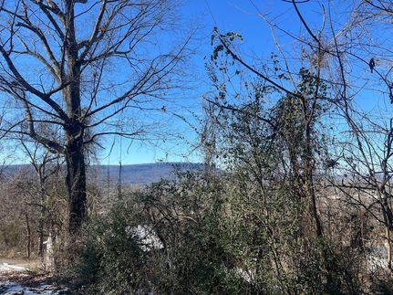Undeveloped Land for sale in Walker County, Georgia