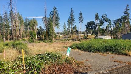 Undeveloped Land for sale in Butte County, California