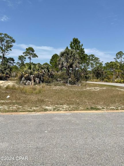 Timberland Property for sale in Gulf County, Florida