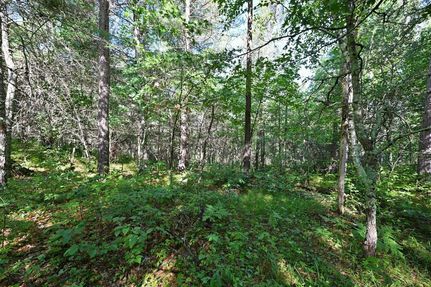 Recreational Property for sale in Burnett County, Wisconsin