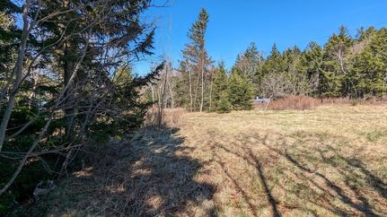 Land for sale in Washington County, Maine