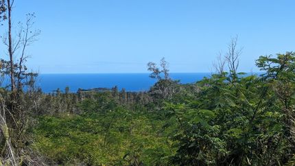 Farm and Ranch for sale in Hawaii County, Hawaii