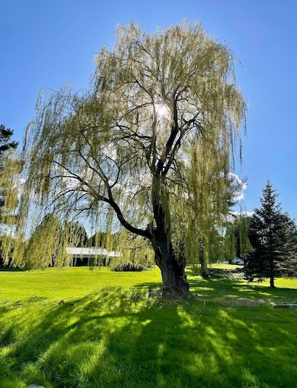 Oceanfront Property for sale in Saint Lawrence County, New York