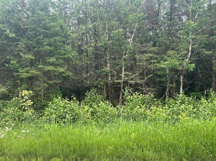 Recreational Property for sale in Price County, Wisconsin