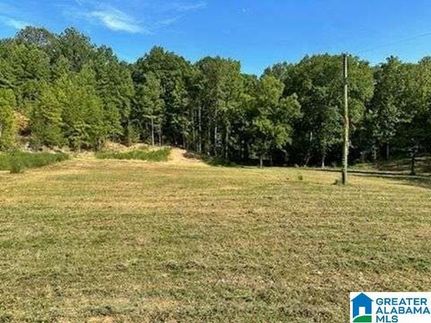 Recreational Property for sale in Shelby County, Alabama