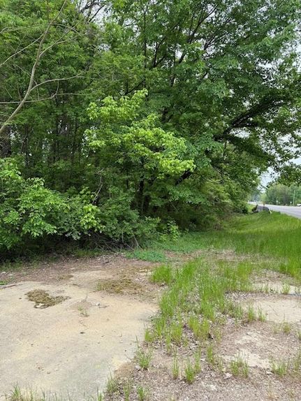Lakefront Property for sale in Clark County, Arkansas