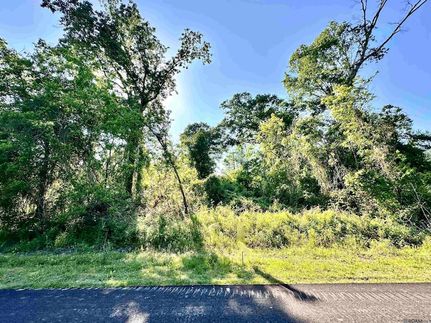 Undeveloped Land for sale in Ascension Parish, Louisiana