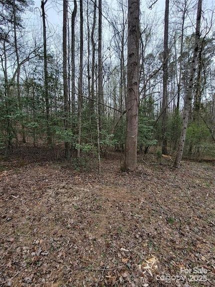 Timberland Property for sale in Montgomery County, North Carolina