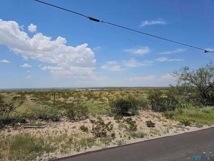 Undeveloped Land for sale in Eddy County, New Mexico