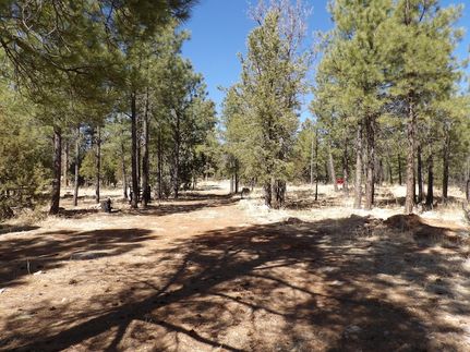 Farm and Ranch for sale in Coconino County, Arizona