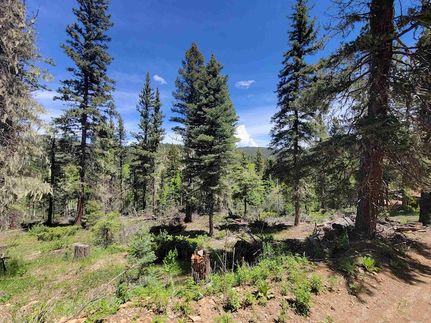 Recreational Property for sale in Taos County, New Mexico