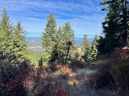 Timberland Property for sale in Stevens County, Washington