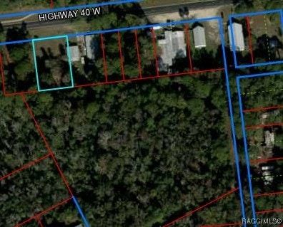 Recreational Property for sale in Levy County, Florida