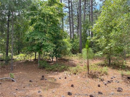Hunting Property for sale in Moore County, North Carolina