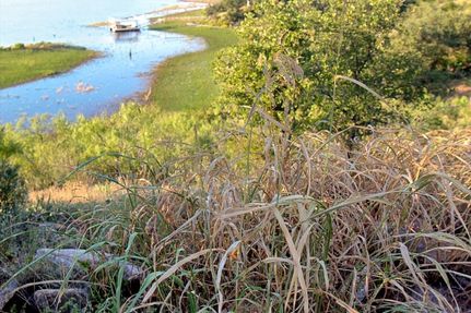 Farm and Ranch for sale in Brown County, Texas