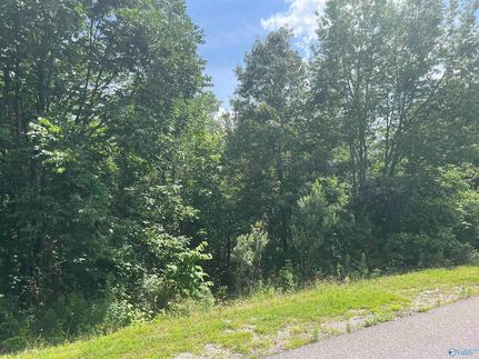 Timberland Property for sale in Etowah County, Alabama