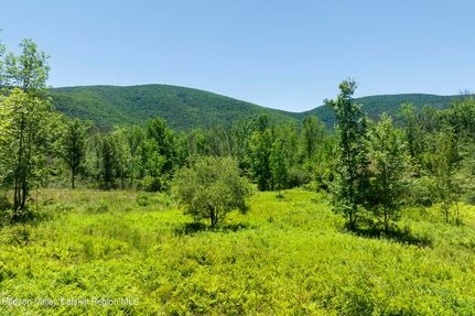 Timberland Property for sale in Greene County, New York