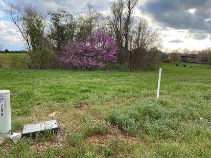 Farm and Ranch for sale in Christian County, Missouri