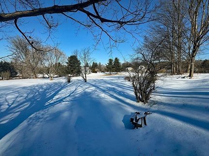 Undeveloped Land for sale in Rutland County, Vermont