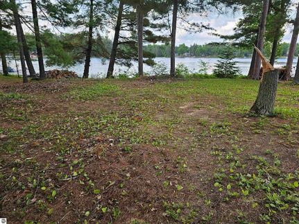 Recreational Property for sale in Iosco County, Michigan