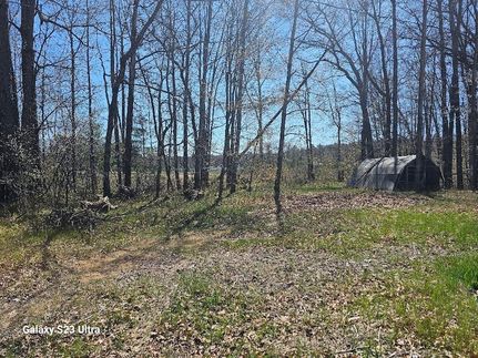Recreational Property for sale in Gladwin County, Michigan