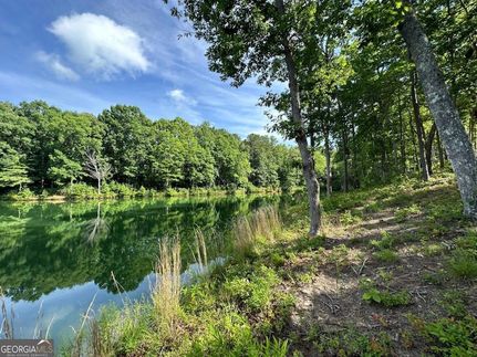 Recreational Property for sale in Habersham County, Georgia
