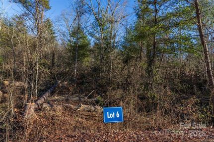 Farm and Ranch for sale in Buncombe County, North Carolina