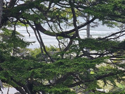 Recreational Property for sale in Grays Harbor County, Washington