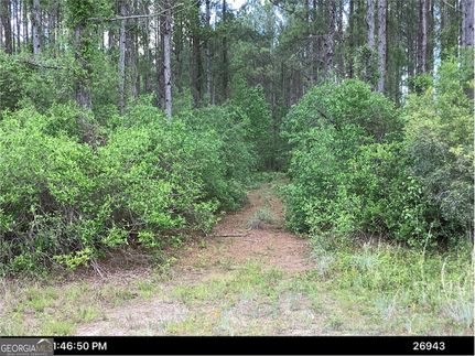 Farm and Ranch for sale in Camden County, Georgia