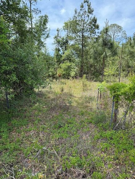 Farm and Ranch for sale in Taylor County, Florida