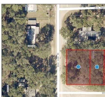 Farm and Ranch for sale in Lake County, Florida