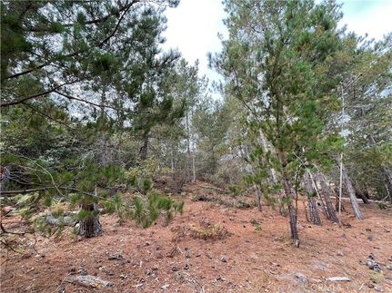 Timberland Property for sale in San Luis Obispo County, California