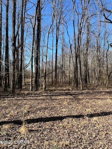 Undeveloped Land for sale in Henry County, Tennessee