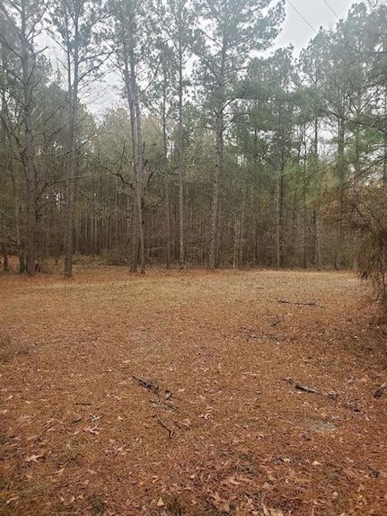 Timberland Property for sale in Vernon Parish, Louisiana