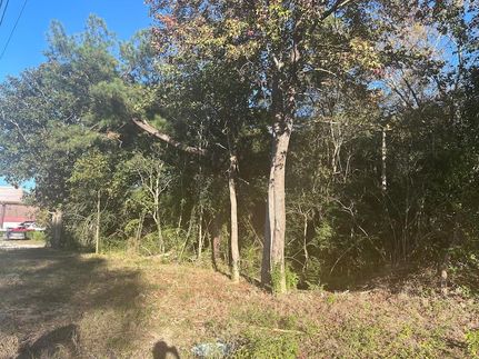 Hunting Property for sale in Berkeley County, South Carolina