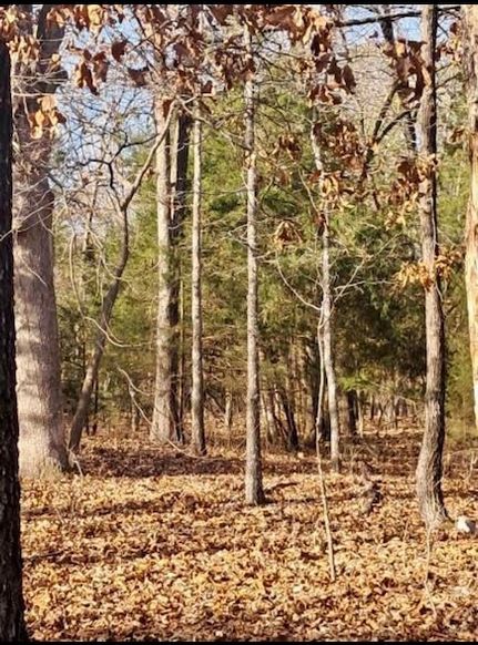 Homesite for sale in Sharp County, Arkansas
