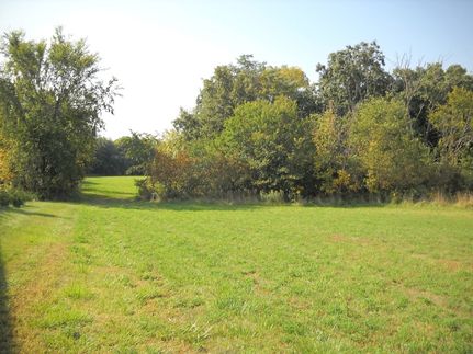Undeveloped Land in Grundy County, Illinois