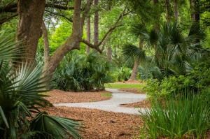Farm and Ranch for sale in Berkeley County, South Carolina