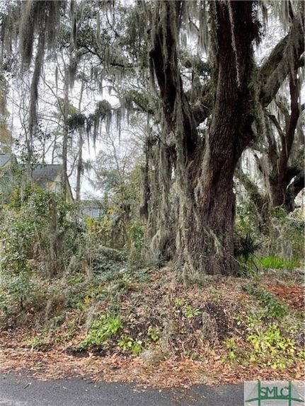 Recreational Property for sale in Chatham County, Georgia