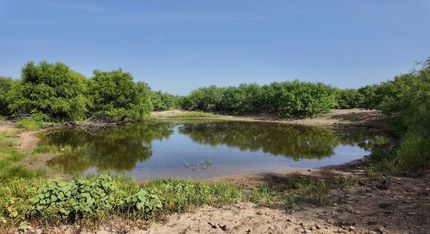 Undeveloped Land for sale in Coleman County, Texas