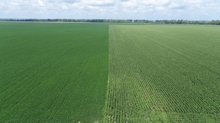 Undeveloped Land for sale in Lafayette County, Missouri
