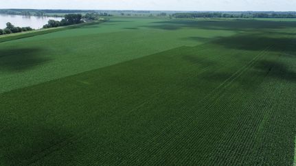 Timberland Property for sale in Saline County, Missouri