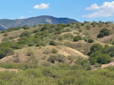 Undeveloped Land for sale in Santa Cruz County, Arizona